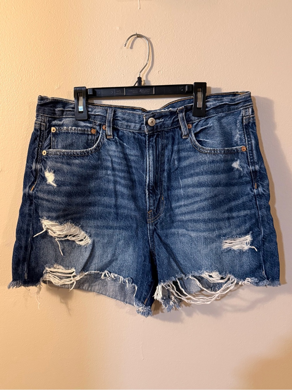 American Eagle 90s Boyfriend Short Size 12